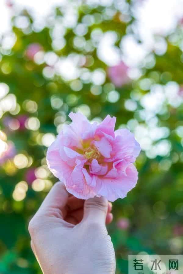 人活到通透的三个觉醒：当下即圆满，孤独即清欢，活着即顶配。