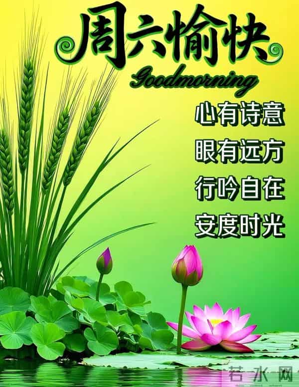 2025年12月6日早上好 早安周六愉快 早安温馨祝福语 早安精美美图