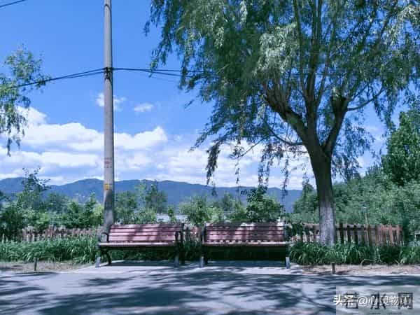 经历两次离婚,我明白了-所有夫妻关系的破裂,都始于同一个错误