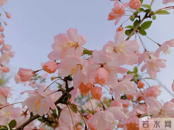 相思入骨,半生沉沦皆是你