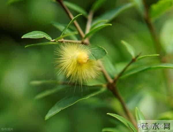 人民日报：快乐不是因为事事顺心，而是选择了看淡不顺心的事