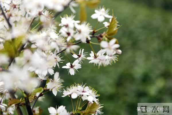 经历两次离婚,我明白了-所有夫妻关系的破裂,都始于同一个错误