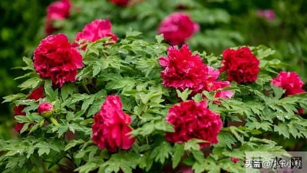 没人告诉你，男人是不会爱的，确切说，是不会像女人需要的那样爱