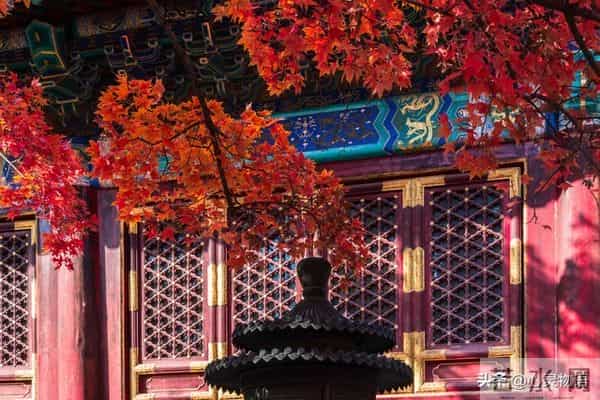 异性之间,偷偷做过这些事,就是彼此动了情