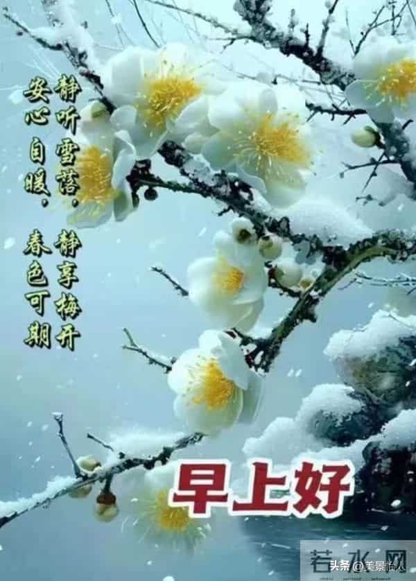 2025.12.5号周五早安祝福美图