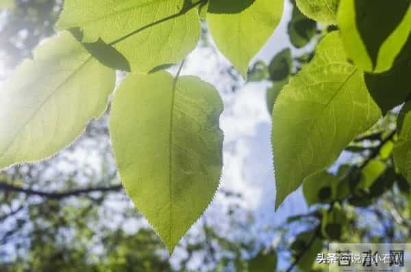 过了今晚,你的坏运气就会到此为止!明天开始,全是舒心日子!