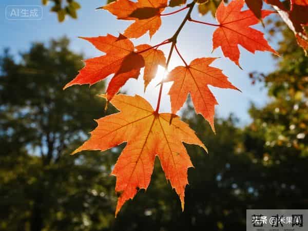 快接住了!老天爷都护着心善的人,你家往后干啥都顺!好事天天来