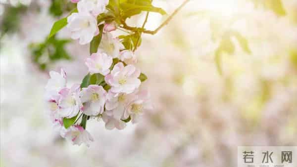 我住院儿子忙没管,女婿在医院伺候一周,出院我给了女儿3万块钱