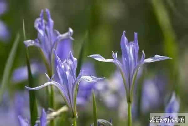 老了才活明白,最幸福的老人都有这3个“怪癖”占一个就乐吧