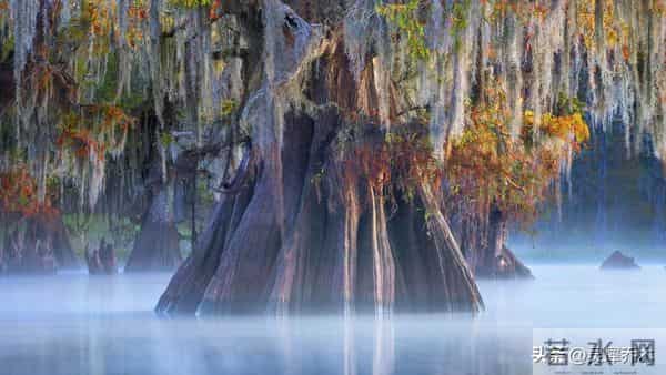 星座日运：12月5日 超级满月的影响