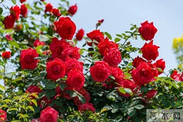 人老了,这6样,你占一样就了不起,全占简直是人生赢家!