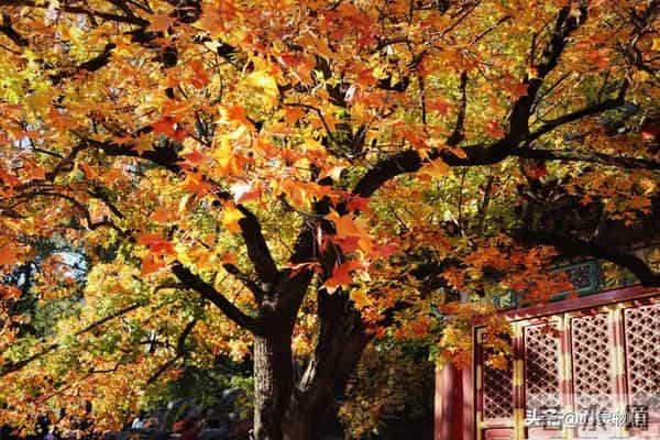 异性之间,偷偷做过这些事,就是彼此动了情