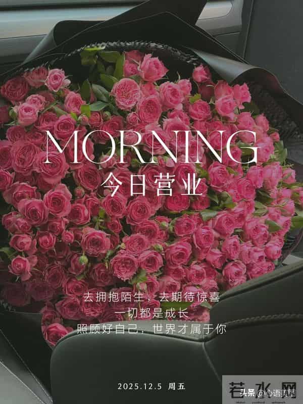 早安正能量图片文案:让努力照亮今天,未来自会可期