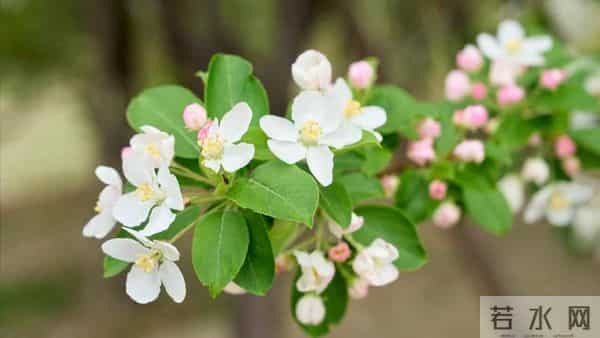 我住院儿子忙没管,女婿在医院伺候一周,出院我给了女儿3万块钱