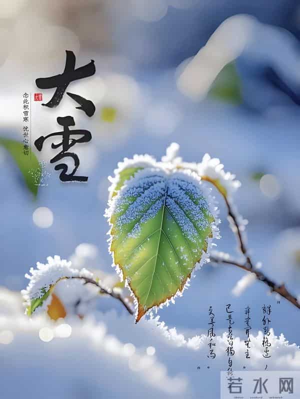 人间大雪,落笔为念,静听雪落,与天地共一场清欢。