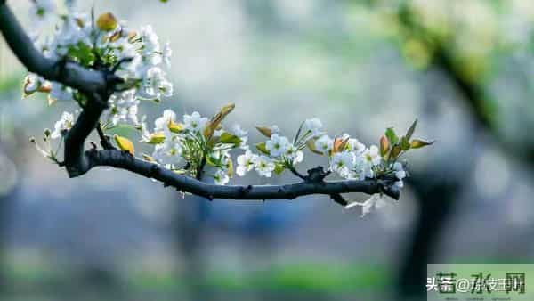 前夫退休跟我分居一年,回来跟我说:离婚吧,她已经有了我的孩子