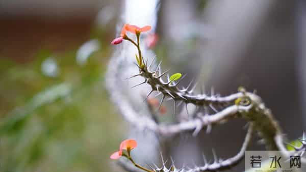 母亲住院女儿伺候，出院让儿女均摊费用，大哥一句话母亲才知错了