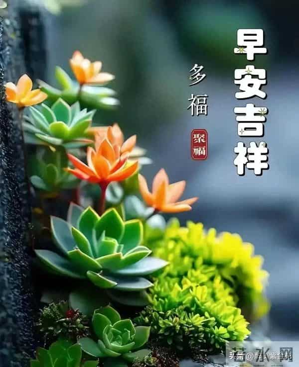 早安，凡是过往皆是序章，所有将来皆为可盼。