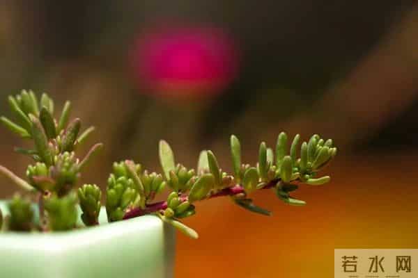 人生最顶级的活法,是学会给内心“做减法”