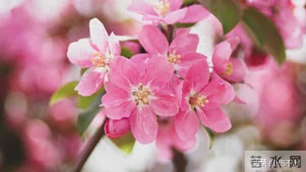 女人主动“勾”你时，不会说“我喜欢你”，却常说这5句话