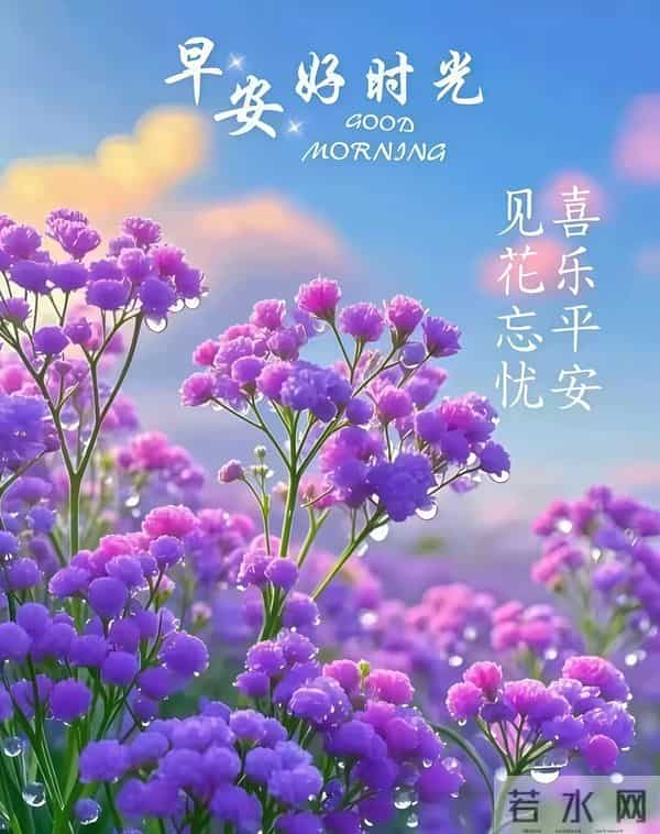 2025年12月5日早上好 早安精美美图 早安周五愉快 早安温馨祝福语