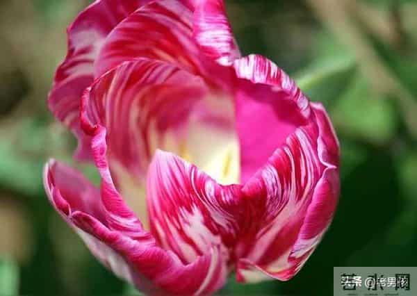 人这辈子,就两件事不能做:一是回头哭,二是抬头等