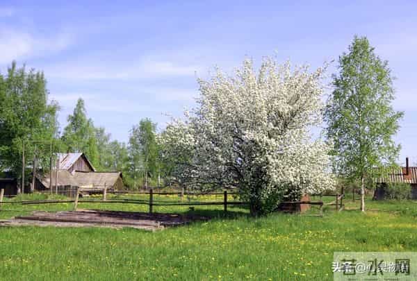 经历两次离婚,我明白了-所有夫妻关系的破裂,都始于同一个错误