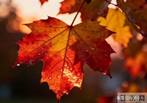 真正厉害的女人,从不问男人这几个问题,这才是真聪明