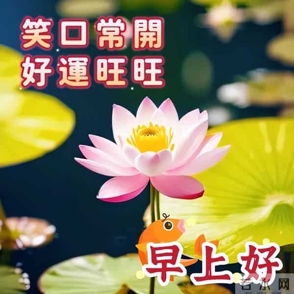 最新漂亮早上好问候图片,每天清晨激励语,愿你健康如意幸福安康