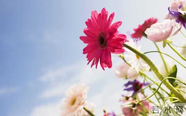 男人心底的4个软肋,抓住了,他便离不开你