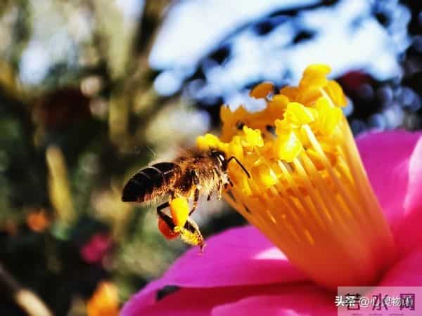 女人爱不爱你，根本不用试探！看这2点，准确率99%