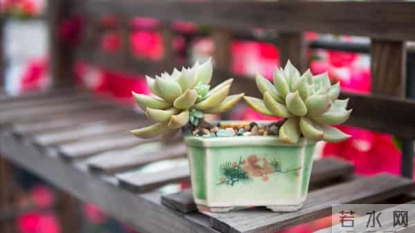 母亲住院女儿伺候，出院让儿女均摊费用，大哥一句话母亲才知错了