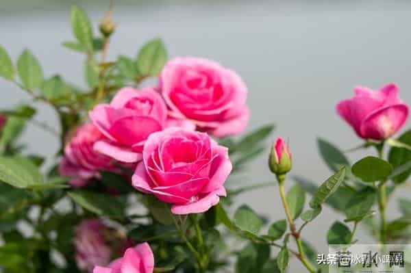 两性关系:男人得懂,女人无论年龄多大,都渴望有人陪!