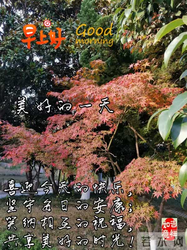 早安朋友！美好的一天，送你一份好心情