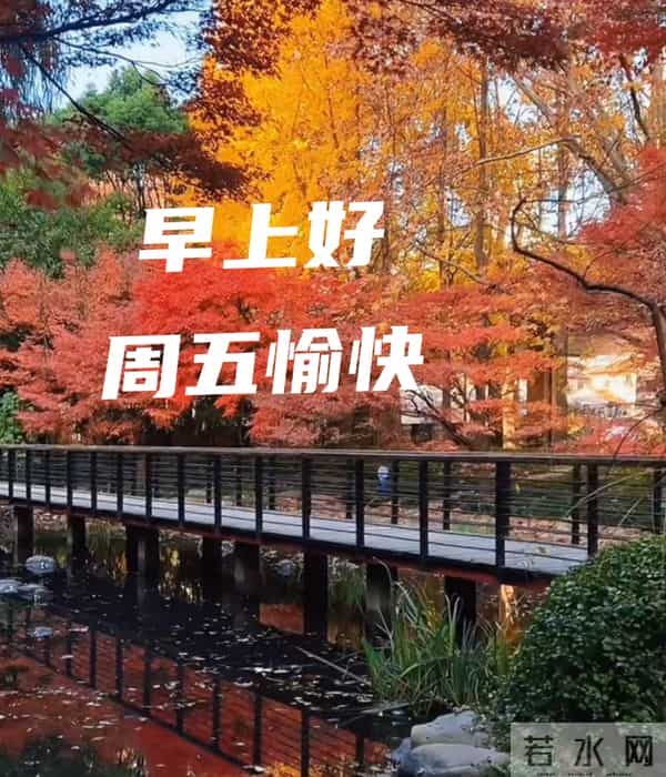 周五早上好 早上好温馨问候祝福语 早安精美图片 周五愉快