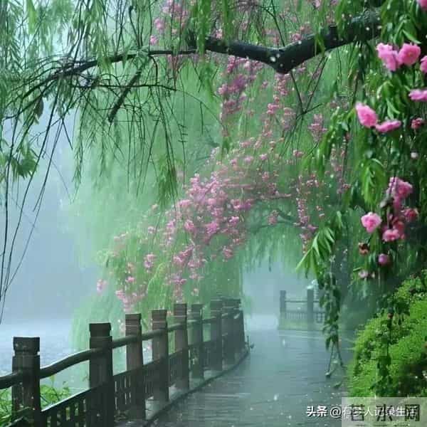 做人是个技术活，2个绝招让你逢山开路遇水搭桥！