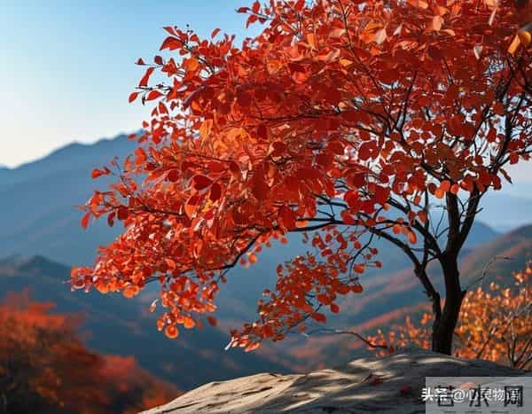 异性之间,偷偷做过这些事,就是彼此动了情