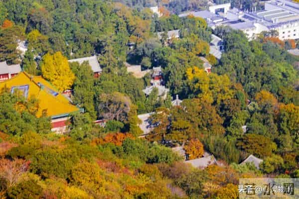 异性之间,偷偷做过这些事,就是彼此动了情