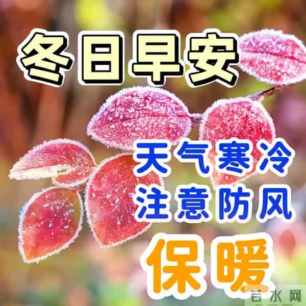 12月5日早安祝福每日更新,早上好问候语冬季,愿你冬日温暖相伴