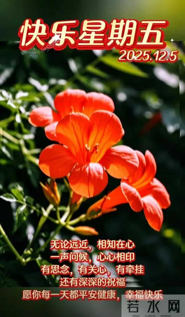 2025年12月5日周五早安 早上好温馨问候语 早安祝福精美图片