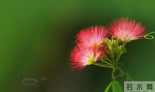 老了才明白：父母开始看你脸色了，不是他们怕你，而是他们老了