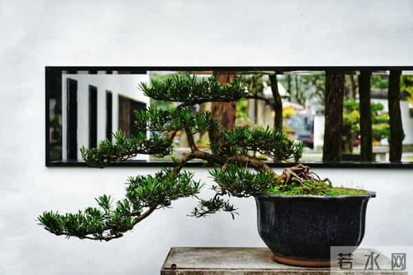 夫妻到了晚年,只要是“分房睡”,大都逃不过3个原因