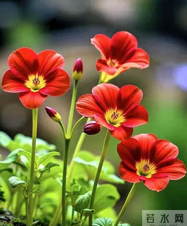 累了歇一歇,烦了静一静,急了缓一缓,把握好生活节奏