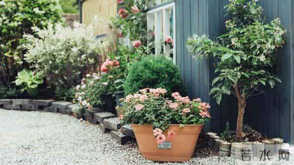 夫妻到了晚年,只要是“分房睡”,大都逃不过3个原因