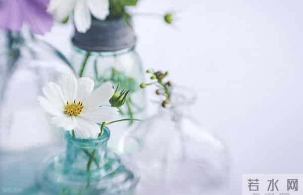 远离内耗,专注自己的8个快速有效的方法,让你的生活轻松每一天