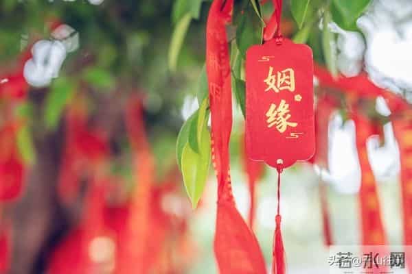 别不信!人的一生,这四件事早就是天定的,强求没用