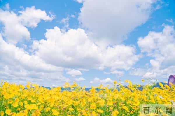 六十岁以后,还能谈笑风生,还能行动自如,那就是最幸福的人