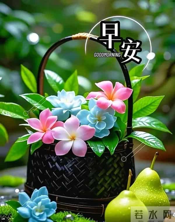 早上好问候祝福图片分享｜阳光暖暖，祝福甜甜！早安快乐！