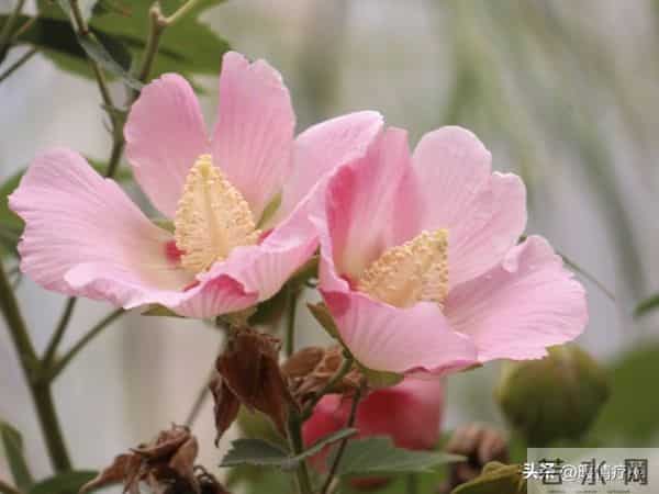 老了才明白-独来独往，没有朋友的人，往往具备这些优秀品质