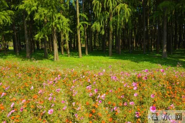 别傻傻只看身体接触,女人一旦在这些地方为你破戒,就是爱惨你了